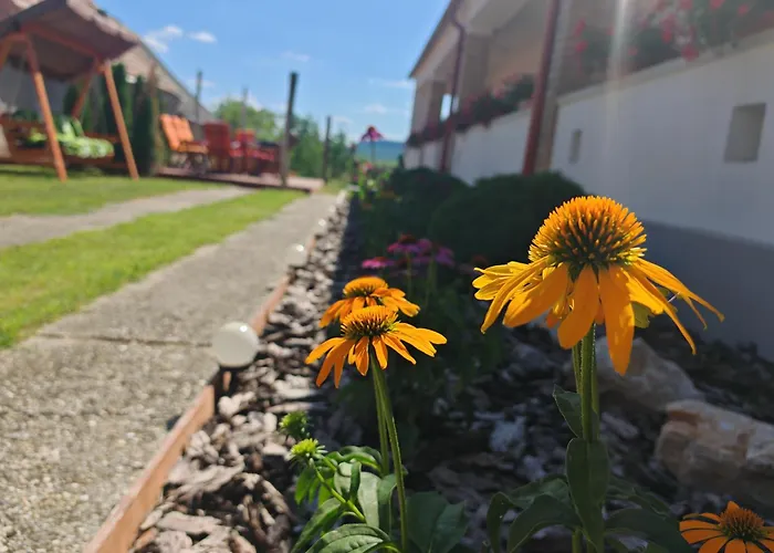 Apartament Heregi Harangszo Vendeghazak *